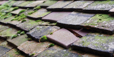 Whiston roof repair costs